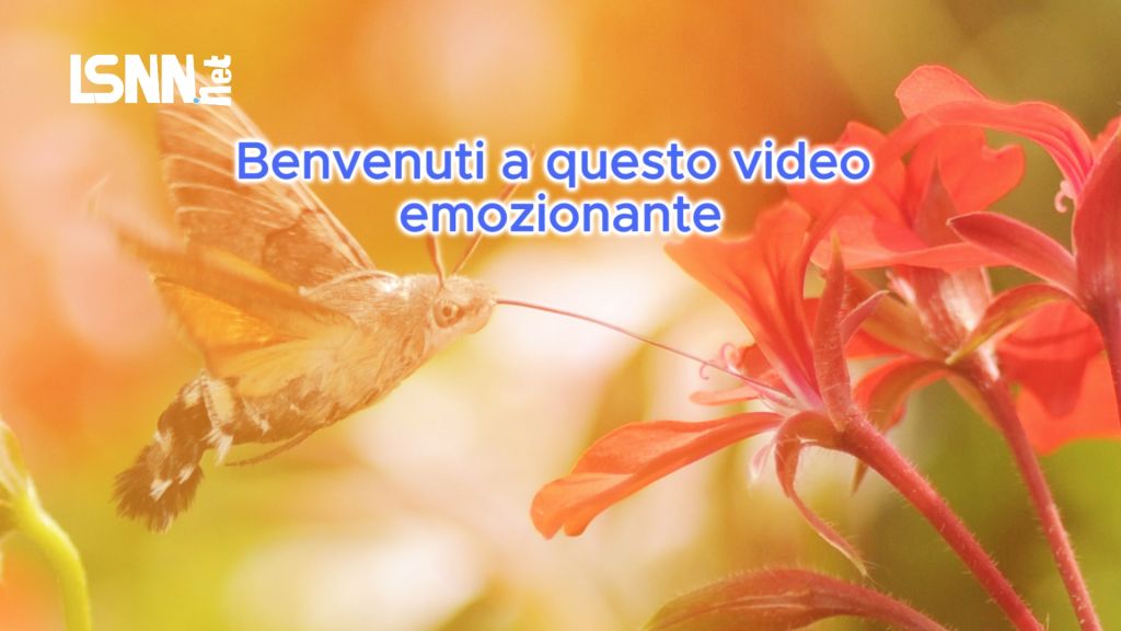 La Farfalla Magica che Sembrava un Colibrì: Proteggiamo la Natura!