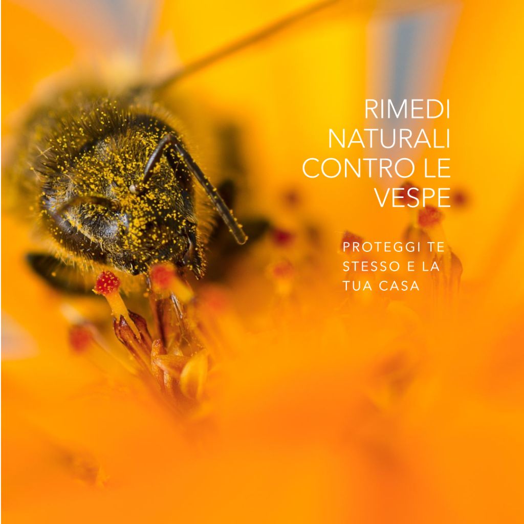 image cover media