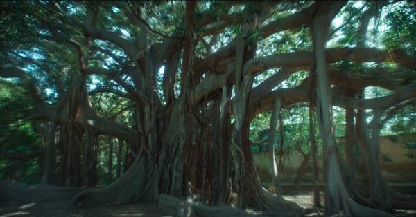 GLI APPUNTAMENTI DI TRIENNALE ESTATE 26 – 31 luglio