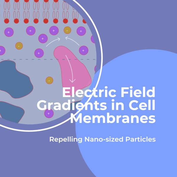 Scoperta Rivoluzionaria: Campi Elettrici Cellulari Respingeranno Nanoparticelle, Confermano gli Scienziati